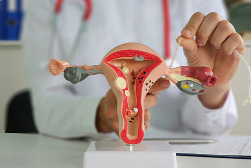 Oncology Treatment