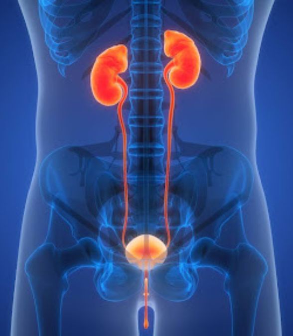 Urology Medical Team